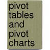 Pivot tables and pivot charts door Patricia Meijer