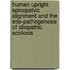 Human Upright Spinopelvic Alignment and the Etio-Pathogenesis of Idiopathic Scoliosis