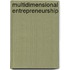 Multidimensional Entrepreneurship