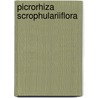 Picrorhiza scrophulariiflora door H.F. Smit