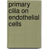 Primary Cilia on Endothelial Cells by K. van der Heiden