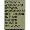 Formation of graphene and hexagonal boron nitride on Rh(111) studied by in-situ scanning tunneling microscopy door Guocai Pong