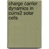 Charge Carrier Dynamics in CuInS2 solar cells