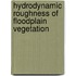Hydrodynamic roughness of floodplain vegetation