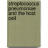 Streptococcus pneumoniae and the host cell