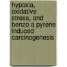 Hypoxia, oxidative stress, and benzo a pyrene induced carcinogenesis by M.A.C. Schults