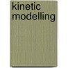 Kinetic modelling by S.G.J. Meyer