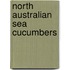 North Australian sea cucumbers