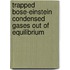 Trapped Bose-Einstein condensed gases out of equilibrium