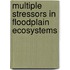 Multiple stressors in floodplain ecosystems