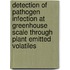Detection of pathogen infection at greenhouse scale through plant emitted volatiles