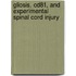 Gliosis, Cd81, And Experimental Spinal Cord Injury