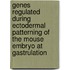 Genes regulated during ectodermal patterning of the mouse embryo at gastrulation