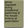Genes regulated during ectodermal patterning of the mouse embryo at gastrulation door E. de Groot