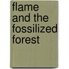 Flame and the fossilized forest door H. Matzer