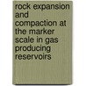 Rock expansion and compaction at the marker scale in gas producing reservoirs door M. Ferronato