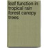 Leaf function in tropical rain forest canopy trees