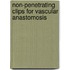 Non-penetrating clips for vascular anastomosis