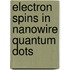 Electron Spins in Nanowire Quantum Dots