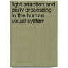 Light adaption and early processing in the human visual system door L. Poot