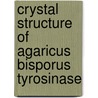 Crystal Structure of Agaricus bisporus Tyrosinase by W.T. Ismaya