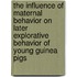 The influence of maternal behavior on later explorative behavior of young Guinea pigs