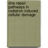 Dna Repair Pathways In Radiation Induced Cellular Damage