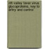 Rift valley fever virus glycoproteins, key to entry and control