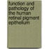 Function and pathology of the human retinal pigment epithelium