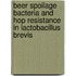 Beer spoilage bacteria and hop resistance in lactobacillus brevis