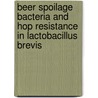 Beer spoilage bacteria and hop resistance in lactobacillus brevis by K. Sakamoto