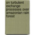 On turbulent exchange processes over Amazonian rain forest