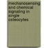 Mechanosensing and Chemical Signaling in Single Osteocytes