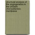 Structural analysis of the angiogenesis in the chicken chorioallantoic membrane