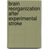 Brain Reorganization after Experimental Stroke by M.P.A. van Meer