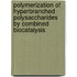 Polymerization of hyperbranched polysaccharides by combined biocatalysis