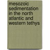 Mesozoic sedimentation in the North Atlantic and Western Tethys door J.P. Trabucho Alexandre da Fonseca Quintas