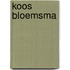 Koos Bloemsma