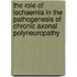 The role of ischaemia in the pathogenesis of chronic axonal polyneuropathy