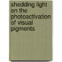 Shedding light on the photoactivation of visual pigments