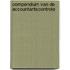 Compendium van de accountantscontrole