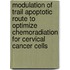 Modulation of trail apoptotic route to optimize chemoradiation for cervical cancer cells