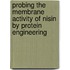 Probing the membrane activity of nisin by protein engineering