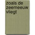 Zoals de zeemeeuw vliegt