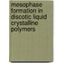 Mesophase formation in discotic liquid crystalline polymers