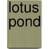 Lotus Pond