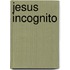 Jesus Incognito