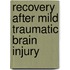 Recovery after Mild Traumatic Brain Injury