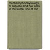 Mechanophophysiology of cupulae and hair cells in the lateral line of fish door J.E.L. Wiersinga-Post