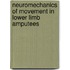 Neuromechanics of movement in lower limb amputees